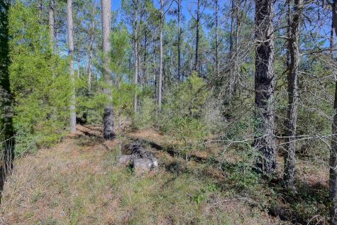 15688 Wooded Trail Way Willis TX 77378