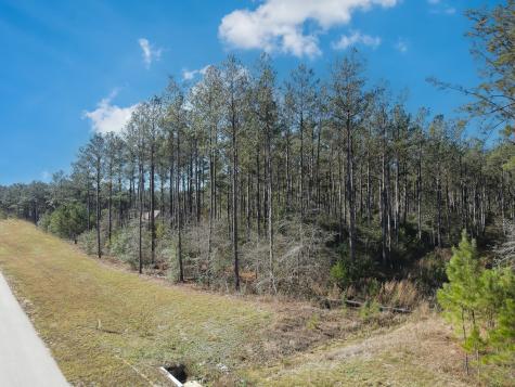 15688 Wooded Trail Way Willis TX 77378