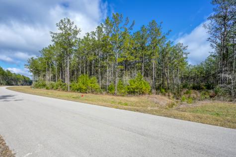 15688 Wooded Trail Way Willis TX 77378