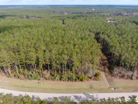 15688 Wooded Trail Way Willis TX 77378