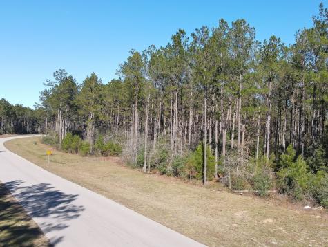15688 Wooded Trail Way Willis TX 77378