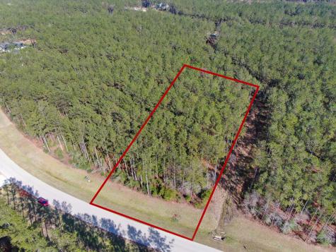 15688 Wooded Trail Way Willis TX 77378