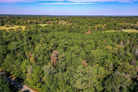 Tract 2 Fm 405 Huntsville TX 77340