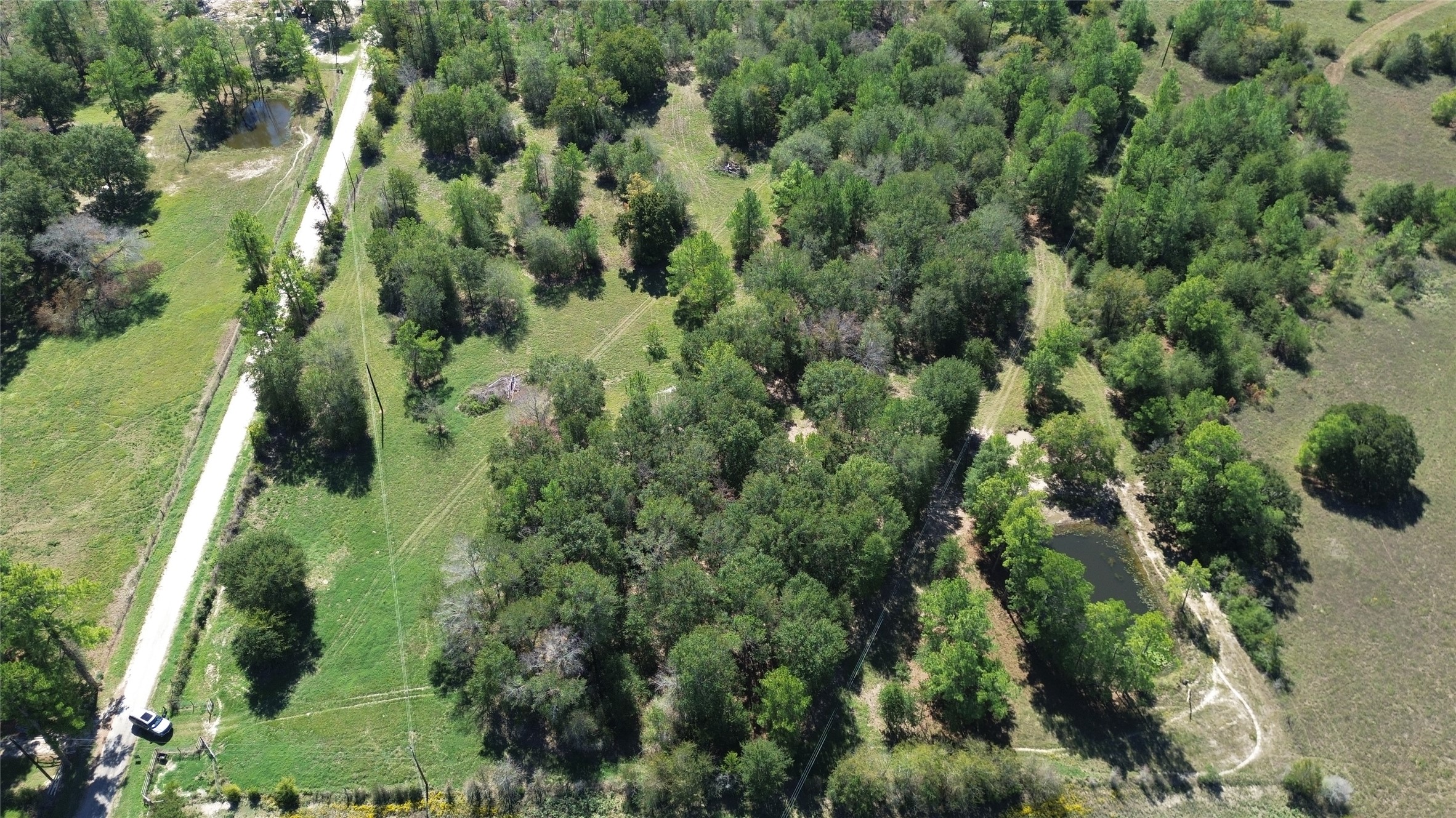 1085 Scales Ranch Road Bedias TX 77831