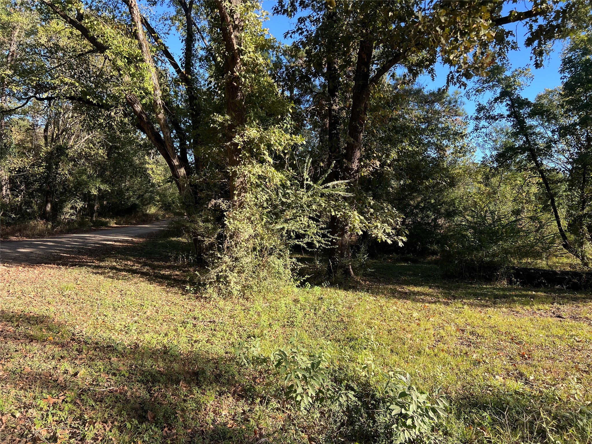 138 Lad Lane Livingston TX 77351