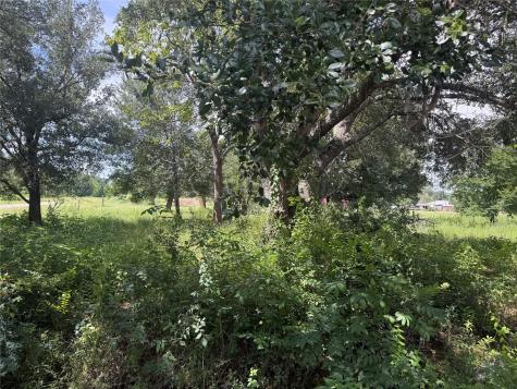 20704 Pearl Street Prairie View TX 77484