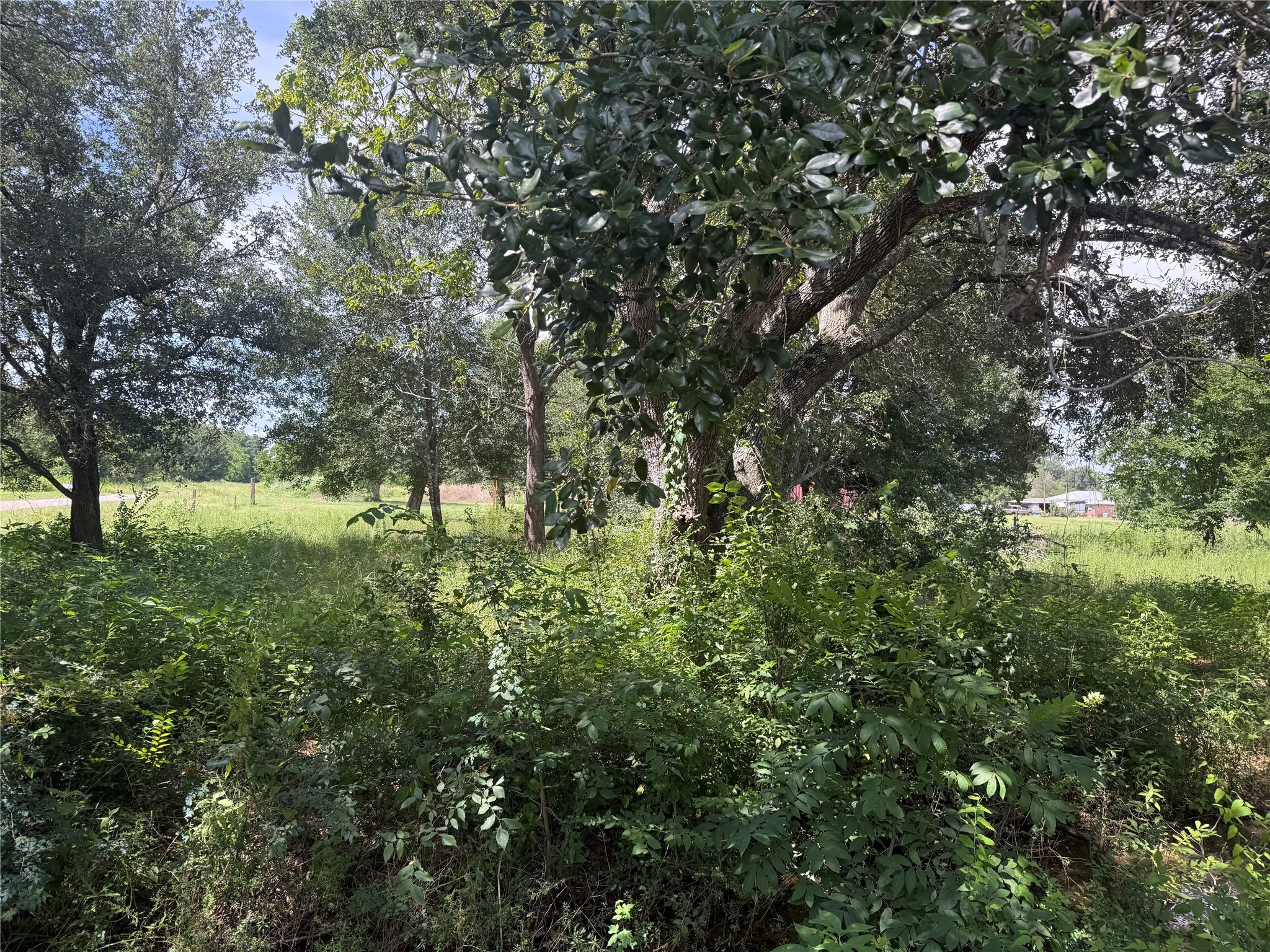 20704 Pearl Street Prairie View TX 77484
