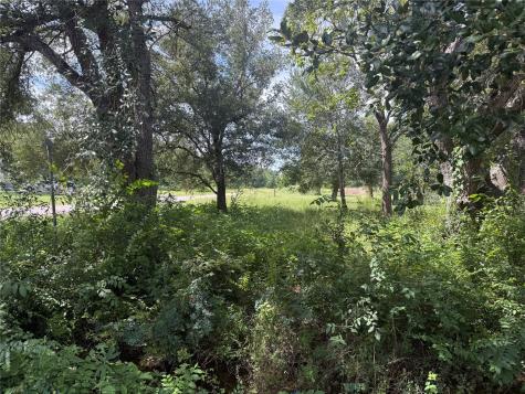20704 Pearl Street Prairie View TX 77484