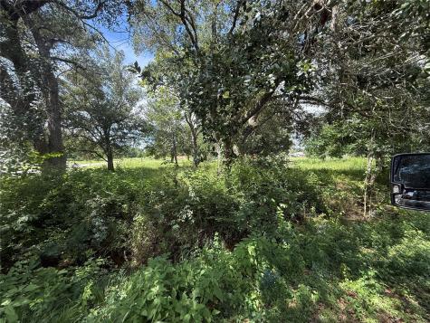 20704 Pearl Street Prairie View TX 77484