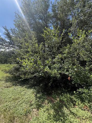 20704 Pearl Street Prairie View TX 77484