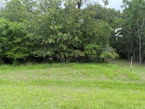 0 Well House Lane Marquez TX 77865