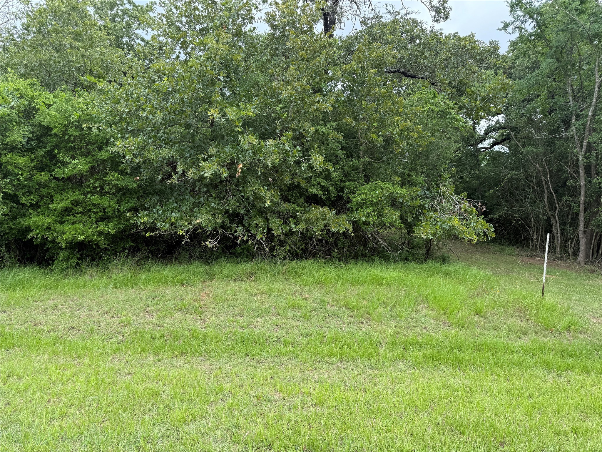 0 Well House Lane Marquez TX 77865