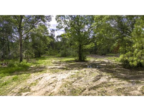 TBD Lot 003 Holland Road Moscow TX 75960