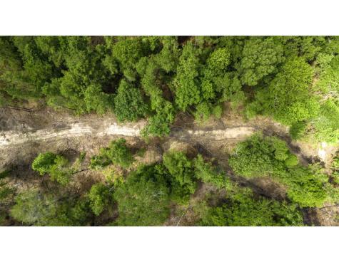 TBD Lot 003 Holland Road Moscow TX 75960