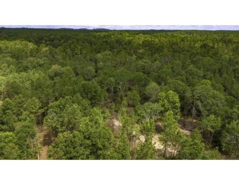 Tbd Lot 003 Holland Road Moscow TX 75960