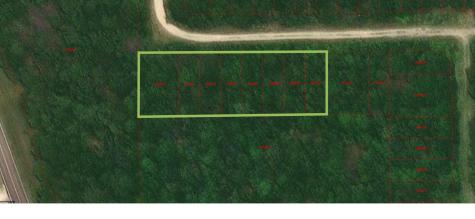 100 Wood Forest Livingston TX 77351