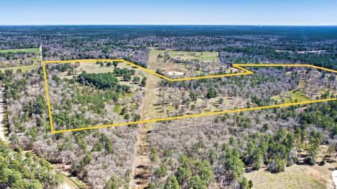 10994 N Bilnoski Road N Willis TX 77378