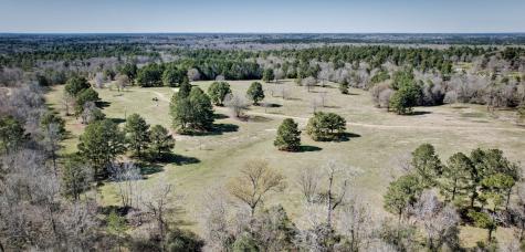 10994 N Bilnoski Road N Willis TX 77378