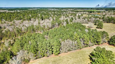 10994 N Bilnoski Road N Willis TX 77378