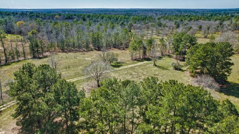 10994 N Bilnoski Road N Willis TX 77378