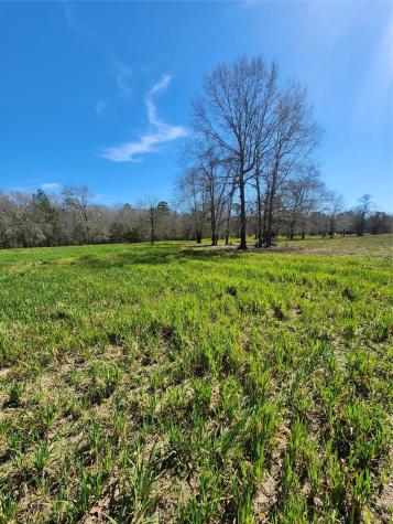 10994 N Bilnoski Road N Willis TX 77378