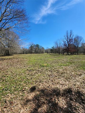 10994 N Bilnoski Road N Willis TX 77378