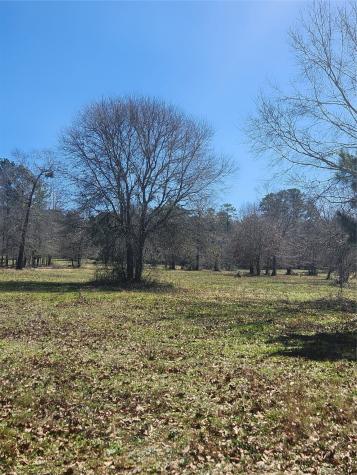 10994 N Bilnoski Road N Willis TX 77378