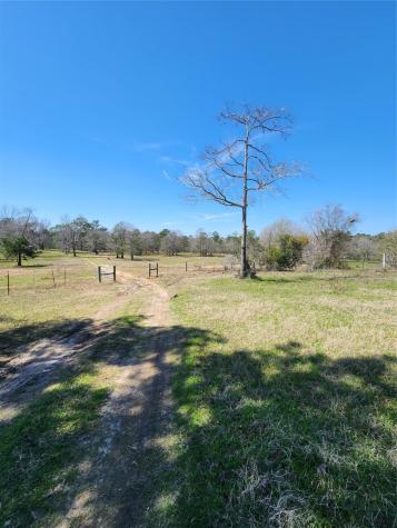 10994 N Bilnoski Road N Willis TX 77378