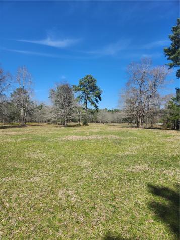 10994 N Bilnoski Road N Willis TX 77378