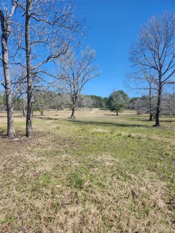 10994 N Bilnoski Road N Willis TX 77378