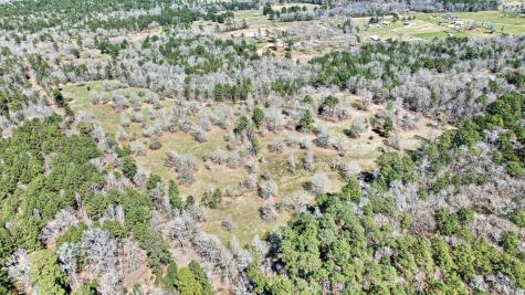 10994 N Bilnoski Road N Willis TX 77378