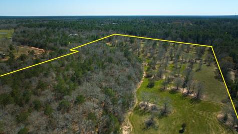 10994 N Bilnoski Road N Willis TX 77378