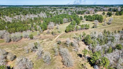 10994 N Bilnoski Road N Willis TX 77378