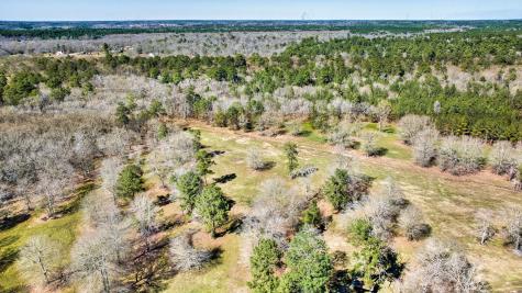 10994 N Bilnoski Road N Willis TX 77378