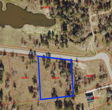 Lot 3 Dahlia Road Huntsville TX 77320