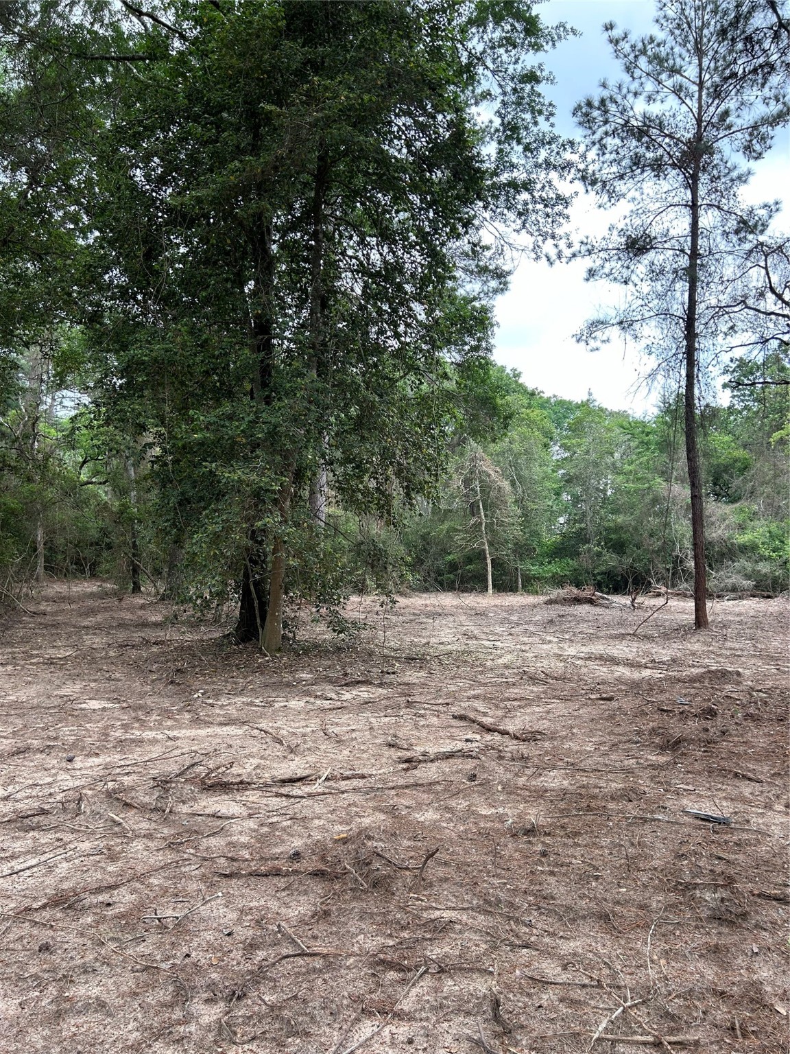 3340 County Road 325 Road Navasota TX 77868