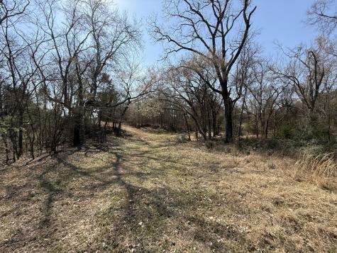 Tbd Tract #1 Fcr 510 Fairfield TX 75840