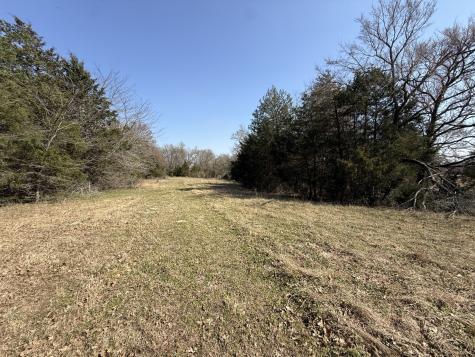 Tbd Tract #1 Fcr 510 Fairfield TX 75840