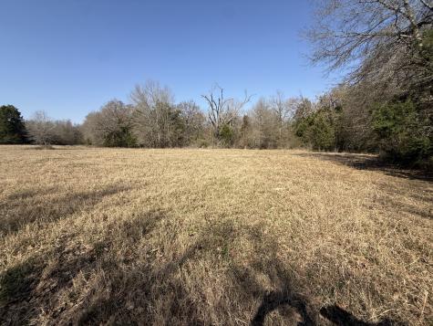 Tbd Tract #1 Fcr 510 Fairfield TX 75840