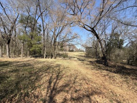 Tbd Tract #1 Fcr 510 Fairfield TX 75840
