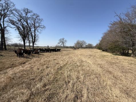 Tbd Tract #1 Fcr 510 Fairfield TX 75840