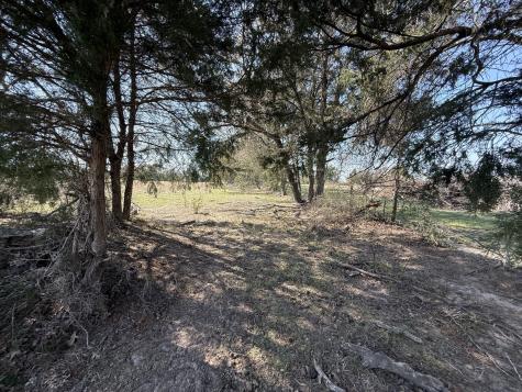 Tbd Tract #1 Fcr 510 Fairfield TX 75840