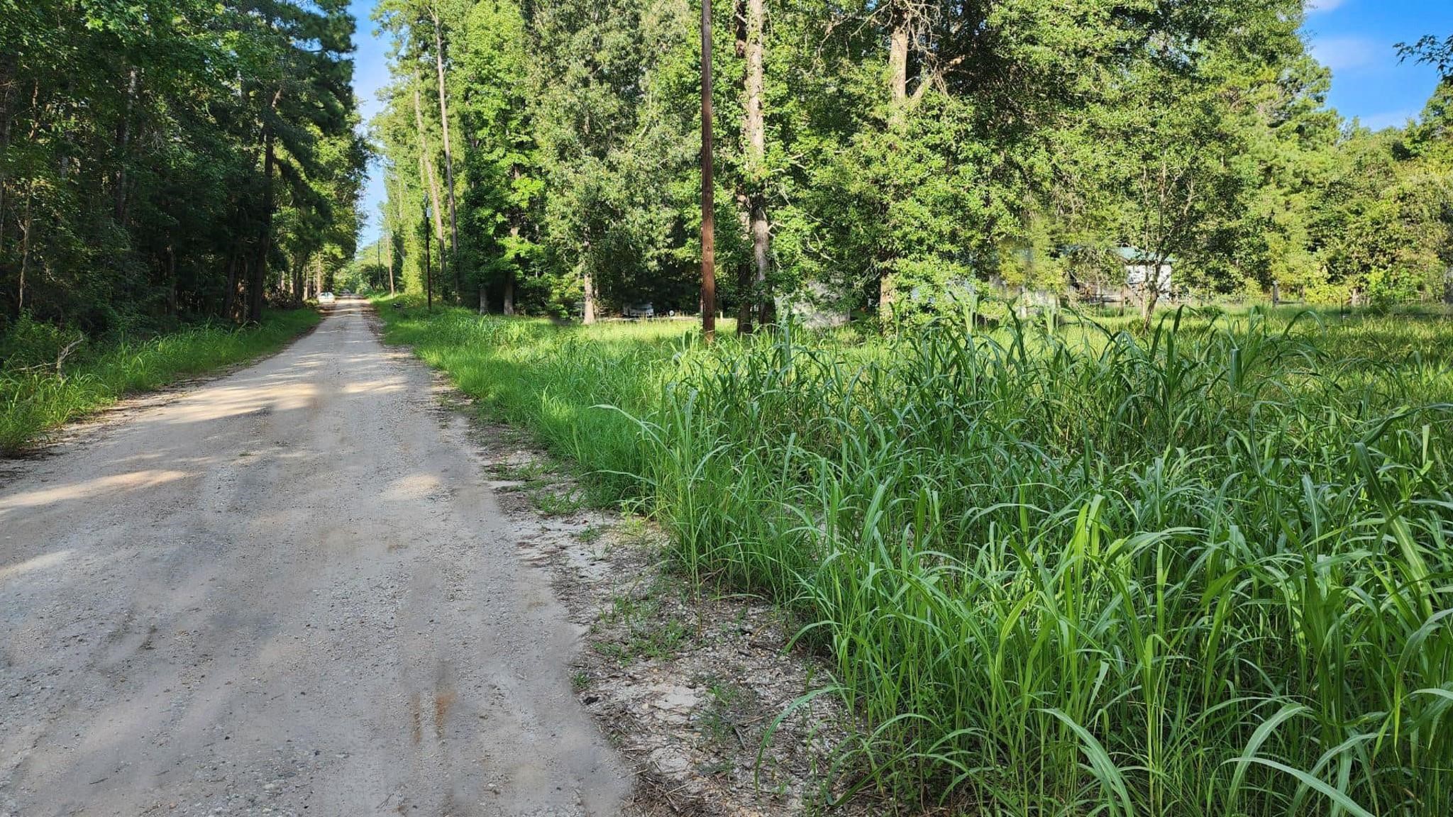 0 The Woods Road Coldspring TX 77331