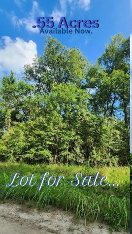 0 The Woods Road Coldspring TX 77331