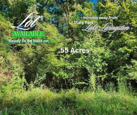 0 The Woods Road Coldspring TX 77331