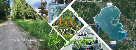 0 The Woods Road Coldspring TX 77331