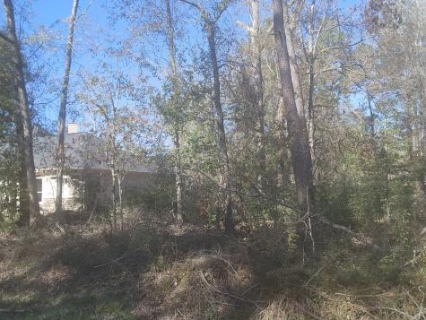 307 Magnolia Bend Drive New Caney TX 77357