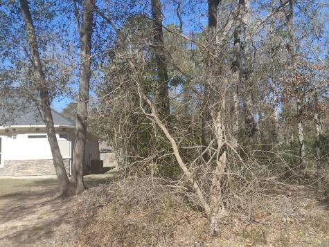 307 Magnolia Bend Drive New Caney TX 77357
