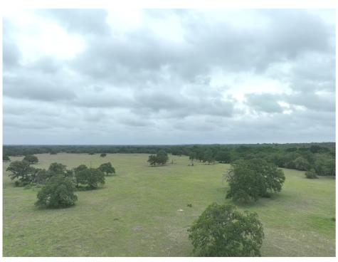 Lot 1 Tbd County Road 127 Road Ledbetter TX 78946
