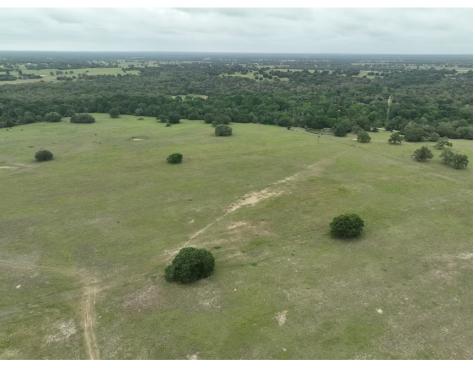 Lot 1 Tbd County Road 127 Road Ledbetter TX 78946